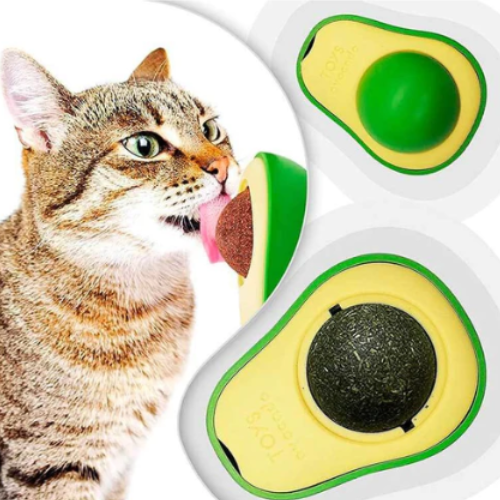 Avocado - Brinquedo para Gatos